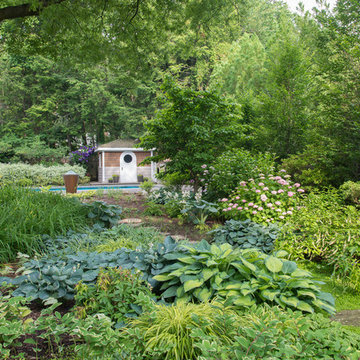 A Water-Wise Garden in Bethesda