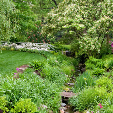 A Water-Wise Garden in Bethesda