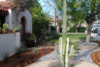 Inspiration för en amerikansk trädgård i delvis sol som tål torka och framför huset, med naturstensplattor