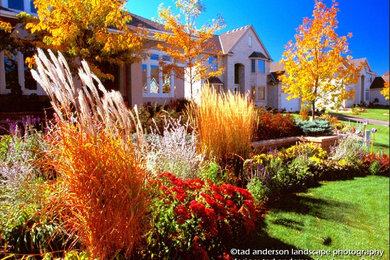 Imagen de jardín contemporáneo en otoño en patio delantero con exposición total al sol y adoquines de hormigón