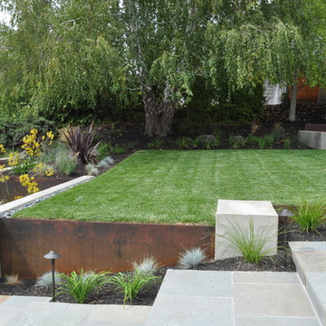 A Willow Spring