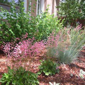 Abiquiu Courtyard