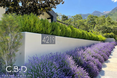 Inspiration for a modern front yard landscaping.