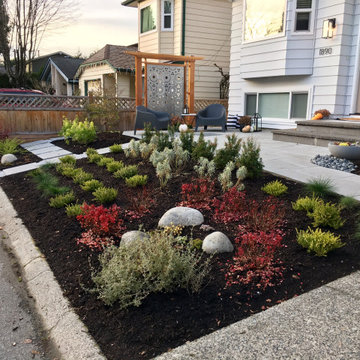 AFTER - Front yard planting overview