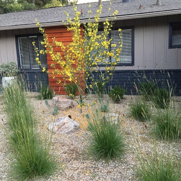 After: Midcentury house gets drought-tolerant garden