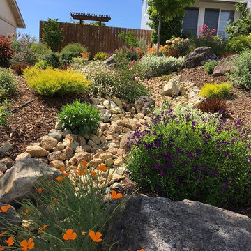 After with Dry Creek Bed - project F