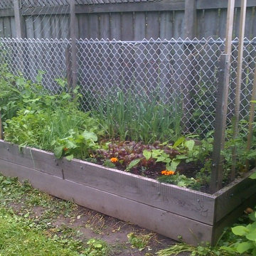 AHOF Raised Bed Vegetable Gardens