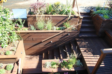 Design ideas for a world-inspired garden in San Francisco.