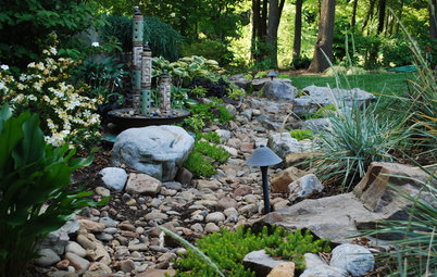 Save Your Budget With These 4 Landscape Design Strategies