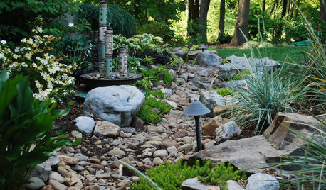 Save Your Budget With These 4 Landscape Design Strategies