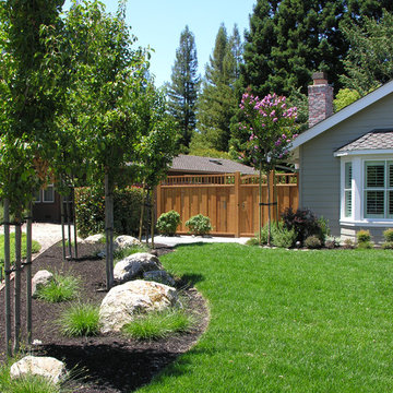 Alamo Traditional Modern Front Yard with Flagstone Pathways