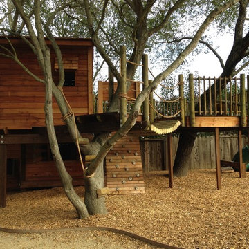 Alamo Treehouse