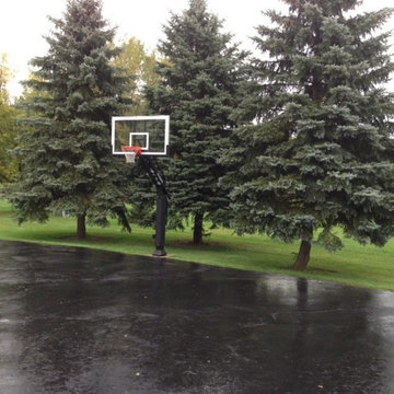 Alexandra H's Pro Dunk Platinum Basketball System on a 22x20 in Ann Arbor, MI