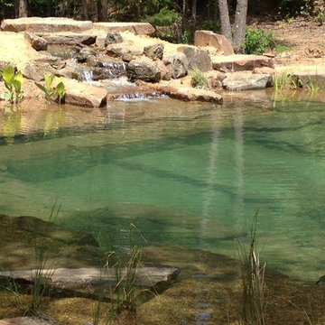 All Natural Swim Pond