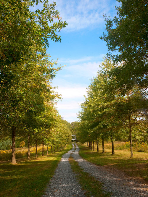 Gravel Driveway Cost