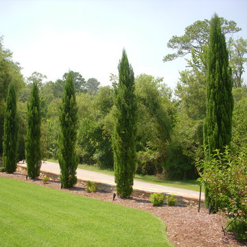 Allen Drive - A Tuscan Paradise in New Bern
