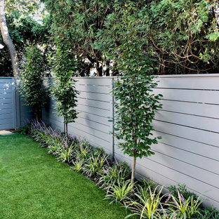 Kleiner Moderner Garten hinter dem Haus mit Sichtschutz und direkter Sonneneinstrahlung in New York
