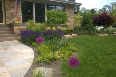 Allium Purple Sensation  and Salvia May Night Steal the Show