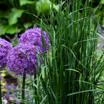Alliums and Grasses at Red Barn, Red Brick
