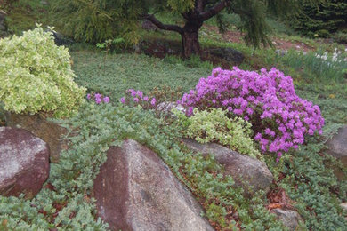 Aménagement d'un jardin éclectique de taille moyenne avec une pente, une colline ou un talus.