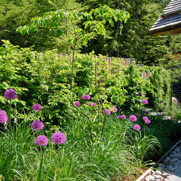 Alpine garden
