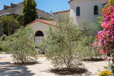 Photo of a contemporary drought-tolerant front yard landscaping in Los Angeles.