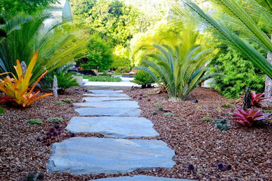 Immagine di un giardino tropicale di medie dimensioni e dietro casa con pavimentazioni in pietra naturale