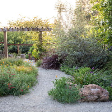 Amazing Berkeley Back Yard