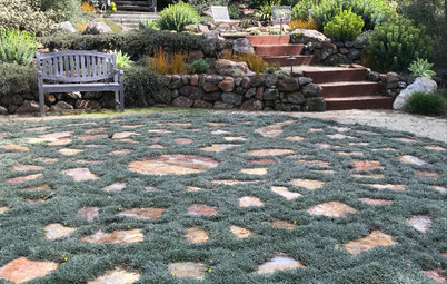 So Long, Lawn: 6 Walkable Ground Covers to Consider
