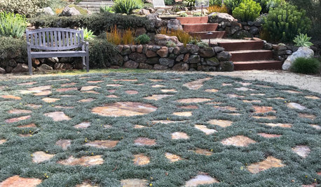 So Long, Lawn: 6 Walkable Ground Covers to Consider