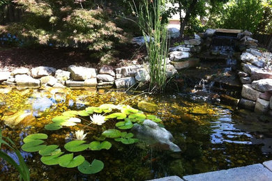 アトランタにある小さなラスティックスタイルのおしゃれな裏庭 (池、日陰、天然石敷き) の写真
