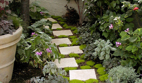 Plants for Your Pathway