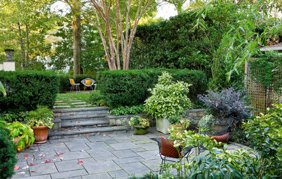 9 Inspiring Gardens Gain Privacy and Screening With Plants