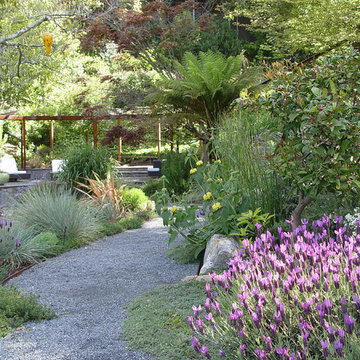 An East Bay Garden