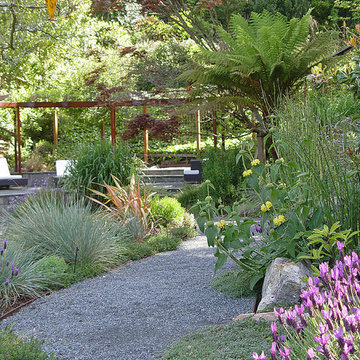 An East Bay Garden