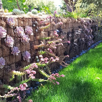 An Eco-Concious San Mateo Garden