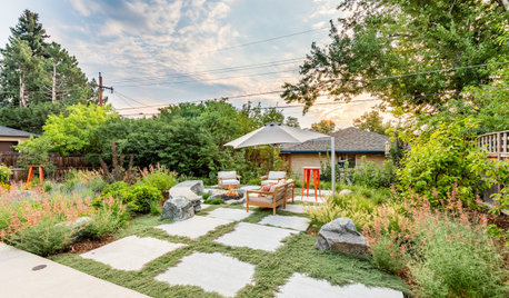 Yard of the Week: Native and Low-Water Plants in Colorado