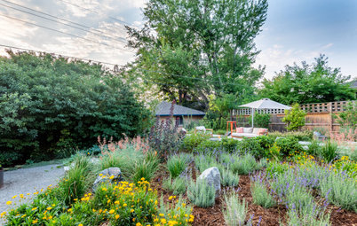 Before and After: 3 Gorgeous Gardens That Celebrate Nature