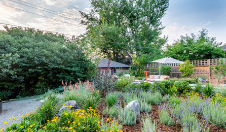 Before and After: 3 Gorgeous Gardens That Celebrate Nature