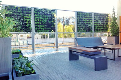 Photo of a mid-sized modern partial sun rooftop formal garden in San Francisco.
