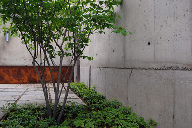 Imagen de jardín moderno pequeño en patio