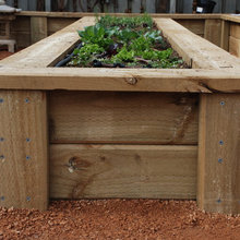 Landscape Ideas