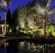 Outdoor Landscape Lighting Design Company in Orange County & Laguna Hills,  Ca-Illuminated Concepts Inc.