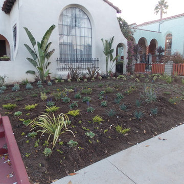 Angeles Vista Front Yard Project
