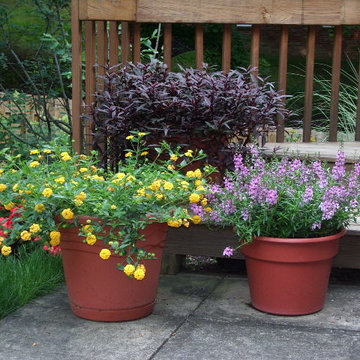 Annual Flower Containers