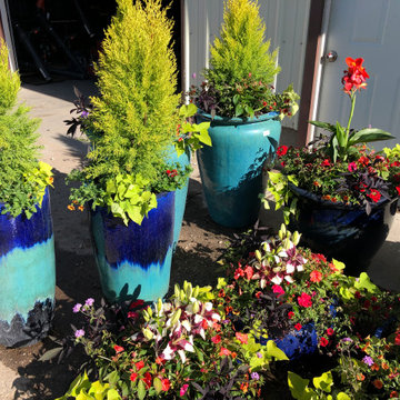 Annual Flower Pots for ALL seasons