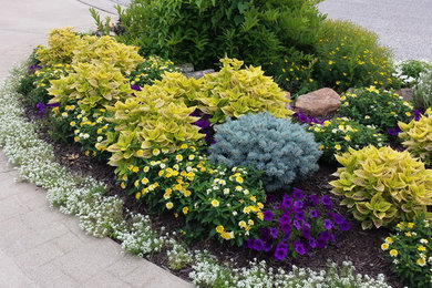 Ejemplo de jardín actual en verano en patio delantero con exposición total al sol