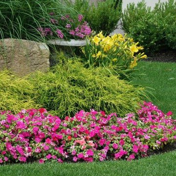 Annuals For Spring, Summer and Fall color.
