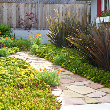 Another Lawn Bites the Dust - With Gusto