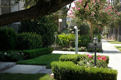 Apartment Landscaping - Pasadena, CA